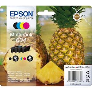 Epson Tinte 604 Multipack (C13T10G64010)_Image_0